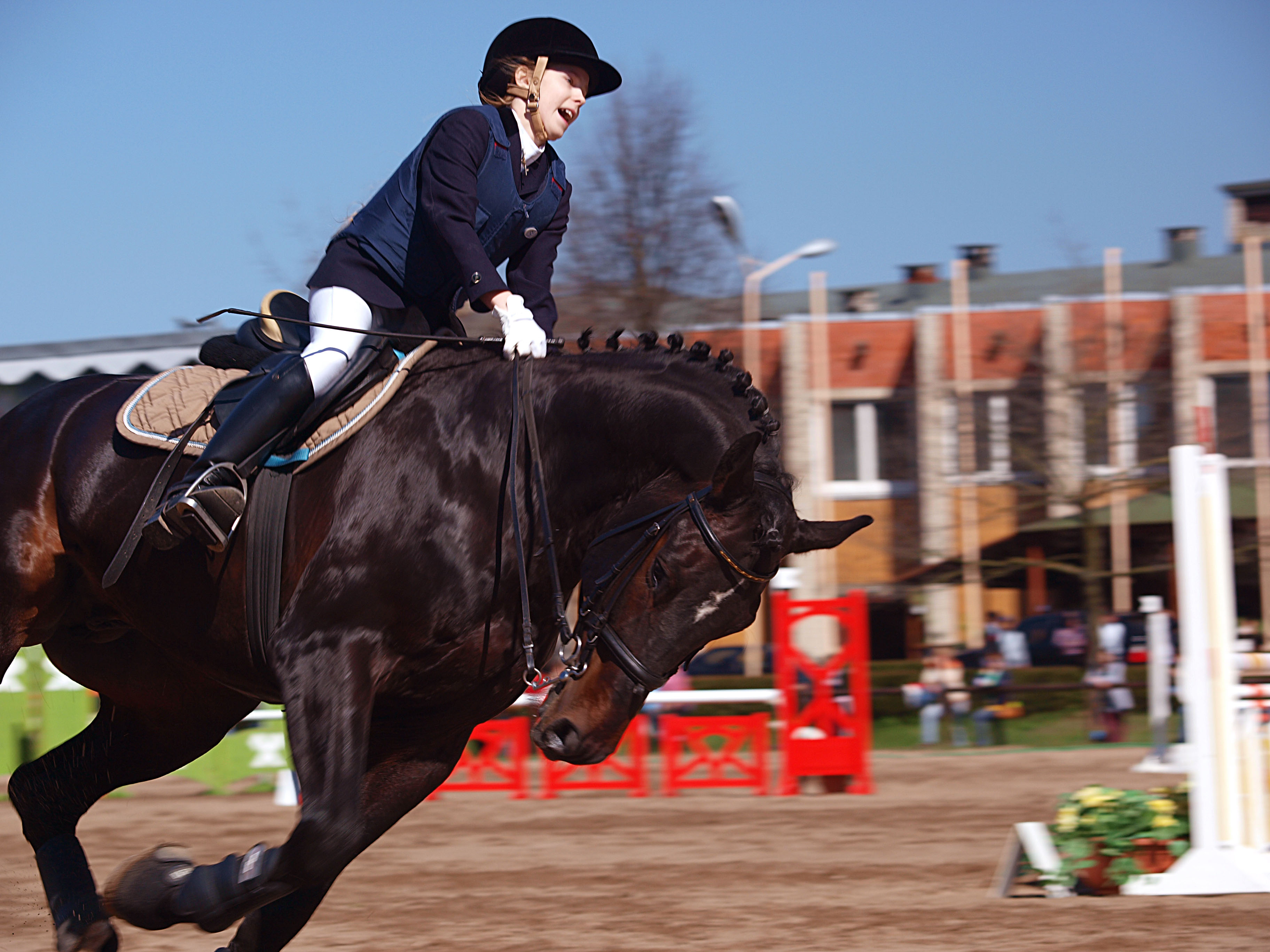 Equestrianism
