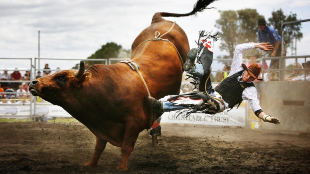 Rodeo