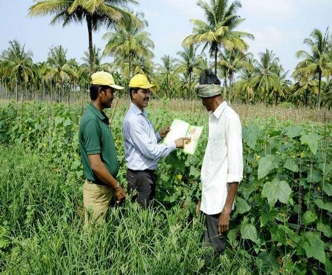 बीएससी कृषि डिग्री धारी अब मुख्य परीक्षा में बैठ सकेंगे