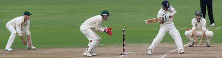 Cricket